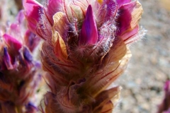 image023
