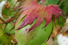 image091