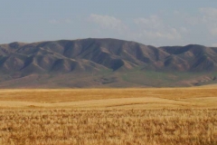 image009