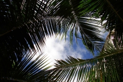 image005