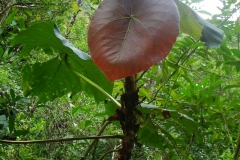 image021