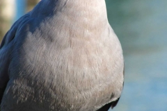 image044