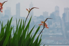 image053