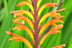 image054