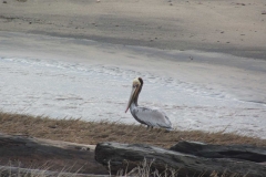 image061