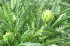 image063
