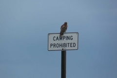 image074