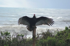image075