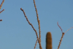 image051
