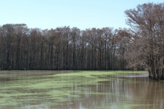 image027