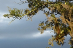image034