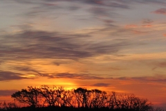 image090