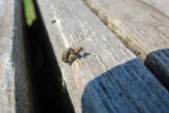 image051