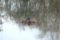 image052