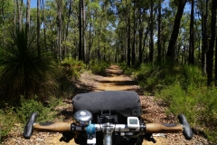 australien copyright piotr nogal 024