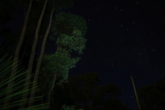 australien copyright piotr nogal 032