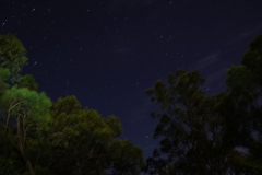 australien copyright piotr nogal 033
