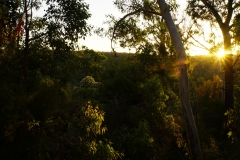 australien copyright piotr nogal 065