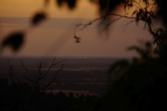 australien copyright piotr nogal 066