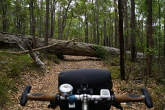 australien copyright piotr nogal 069