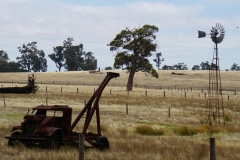 australien copyright piotr nogal 092