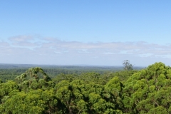 australien copyright piotr nogal 147