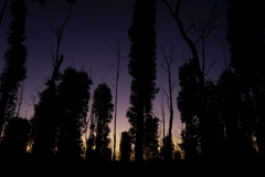australien copyright piotr nogal 163