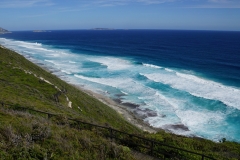 australien copyright piotr nogal 205