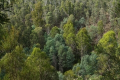 australien 116 copyright piotr nogal