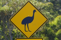 australien 150 copyright piotr nogal