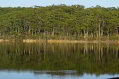 australien 198 copyright piotr nogal