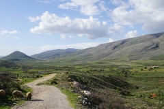 124 balkan copyright piotr nogal