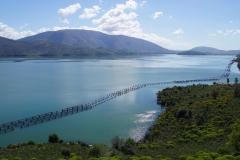 136 balkan copyright piotr nogal