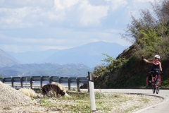 144 balkan copyright piotr nogal