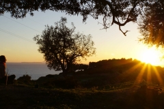 156 balkan copyright piotr nogal