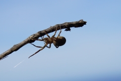 163 balkan copyright piotr nogal