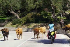 164 balkan copyright piotr nogal