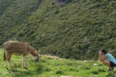 182 balkan copyright piotr nogal