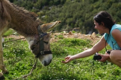 183 balkan copyright piotr nogal 183 balkan copyright piotr nogal