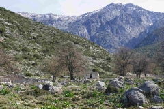 196 balkan copyright piotr nogal 196 balkan copyright piotr nogal