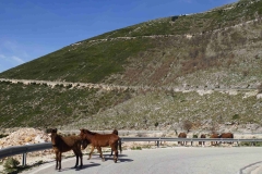 199 balkan copyright piotr nogal 199 balkan copyright piotr nogal