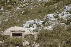 208 balkan copyright piotr nogal 208 balkan copyright piotr nogal