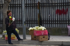 232 balkan copyright piotr nogal 232 balkan copyright piotr nogal