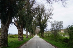 236 balkan copyright piotr nogal 236 balkan copyright piotr nogal