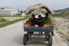 238 balkan copyright piotr nogal