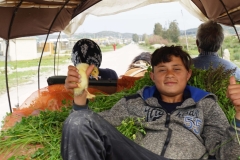 239 balkan copyright piotr nogal