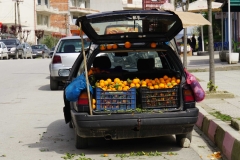 243 balkan copyright piotr nogal 243 balkan copyright piotr nogal