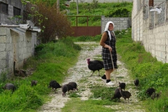 245 balkan copyright piotr nogal