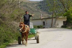 252 balkan copyright piotr nogal