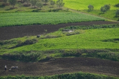 255 balkan copyright piotr nogal